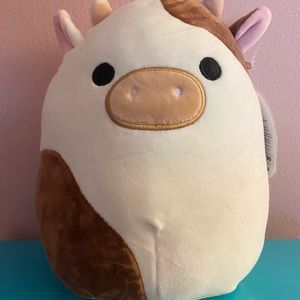 Ronnie Squishmallow 8”